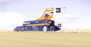 bloodhound