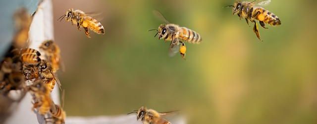 L’evoluzione dei volanti: da semplici cerchi a centri tecnologici