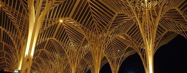 Il ruolo dei meccanici nelle gare endurance