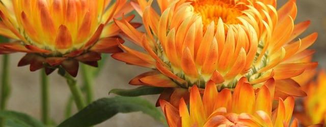 I materiali compositi nelle supercar moderne